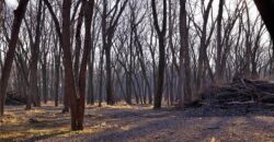 21195 Edgerton Junction Road, Dearborn, MO 64439
