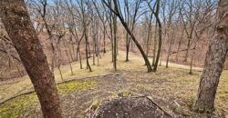 5529 Sleepy Hollow Drive, Parkville, MO 64152