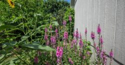 606 Briar Lane, Kearney, MO 64060