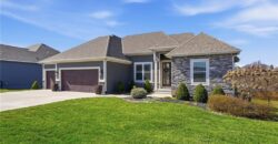 11300 N Michigan Avenue, Kansas City, MO 64155