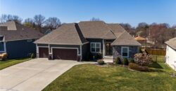 11300 N Michigan Avenue, Kansas City, MO 64155