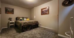 812 Apple Blossom Street, Excelsior Springs, MO 64024