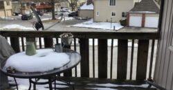 8395 NW WAUKOMIS Drive, Kansas City, MO 64151