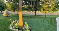 301 NW 179th Street, Smithville, MO 64089