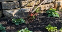 2144 Crooked Creek Drive, Kearney, MO 64060