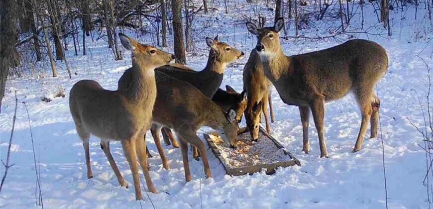 2144 Crooked Creek Drive, Kearney, MO 64060