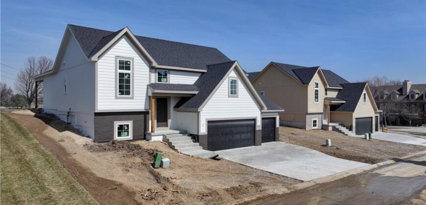 6410 NW 98th Street, Kansas City, MO 64153