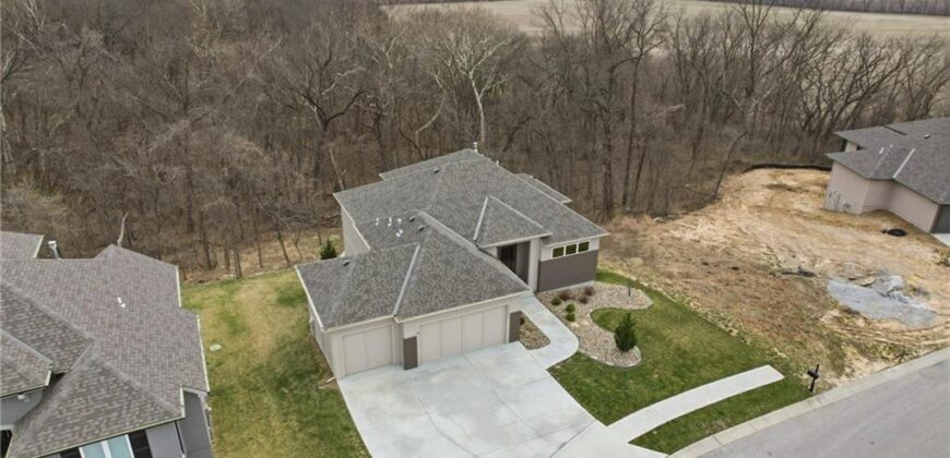 13426 Terrace Park Drive, Parkville, MO 64152