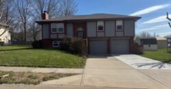 113 E Frank Street, Kearney, MO 64060