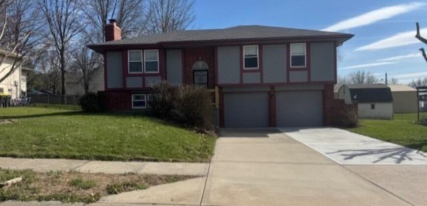 113 E Frank Street, Kearney, MO 64060