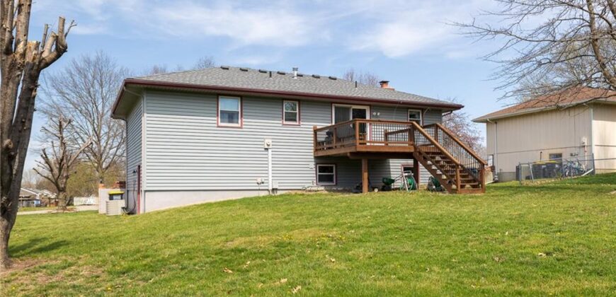 113 E Frank Street, Kearney, MO 64060