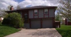 113 E Frank Street, Kearney, MO 64060