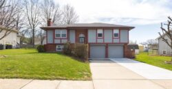 113 E Frank Street, Kearney, MO 64060