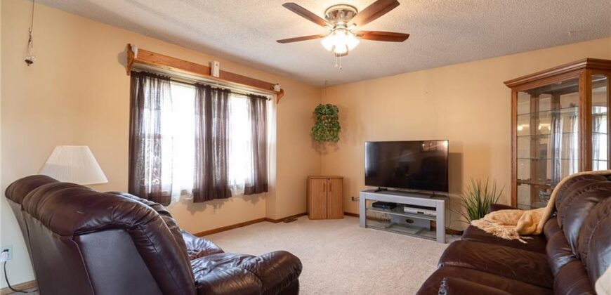 113 E Frank Street, Kearney, MO 64060