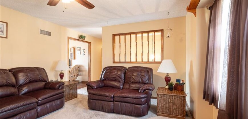 113 E Frank Street, Kearney, MO 64060