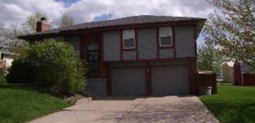 113 E Frank Street, Kearney, MO 64060