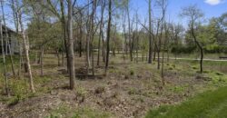 717 Riverwood Drive, Liberty, MO 64068