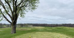 6205 NW 101st Street, Kansas City, MO 64154