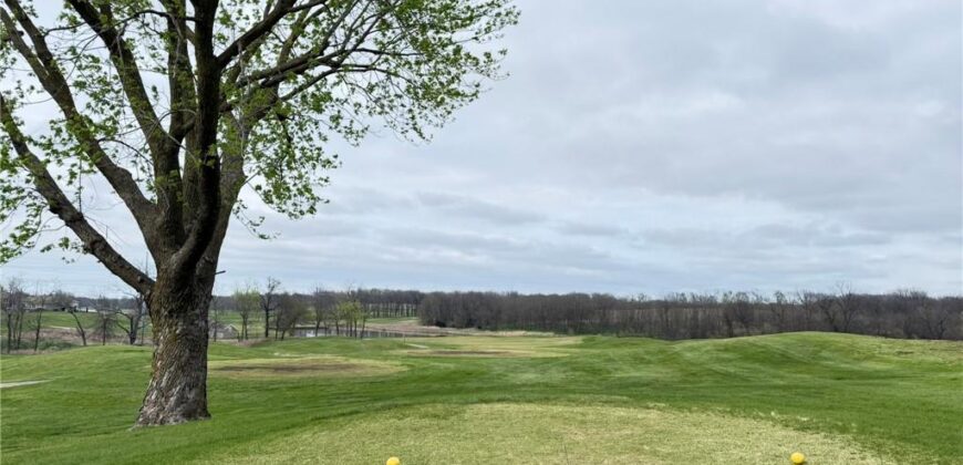 6205 NW 101st Street, Kansas City, MO 64154