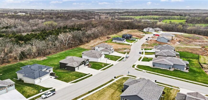 16655 NW 124th Street, Platte City, MO 64079