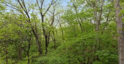 10200 Magnolia Lane, Parkville, MO 64152