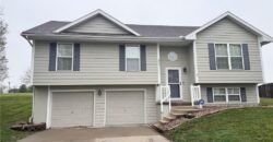 202 E 22nd Street, Kearney, MO 64060