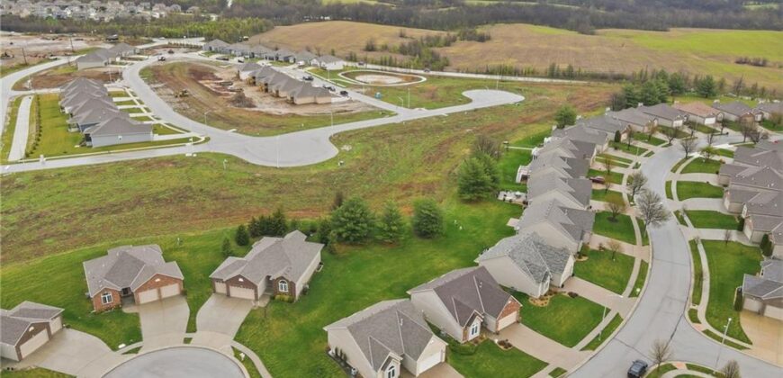 11236 N Randolph Avenue, Kansas City, MO 64157