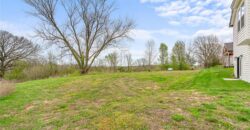 24218 NE 136th Street, Excelsior Springs, MO 64024