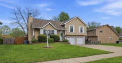 10103 N Central Street, Kansas City, MO 64155