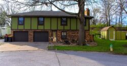 1108 Williams Street, Excelsior Springs, MO 64024