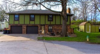 1108 Williams Street, Excelsior Springs, MO 64024