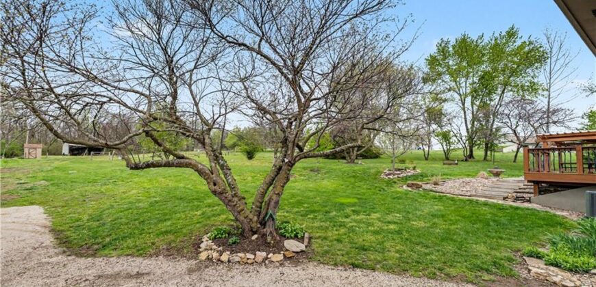 17710 Sycamore Street, Holt, MO 64048