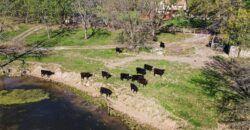 15800 Rule Lane, Smithville, MO 64089