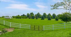 13223 N Virginia Avenue, Smithville, MO 64089