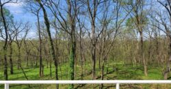 16370 NW 130th Terrace, Platte City, MO 64079