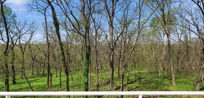 16370 NW 130th Terrace, Platte City, MO 64079