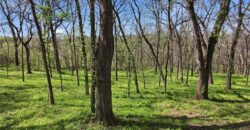 16370 NW 130th Terrace, Platte City, MO 64079