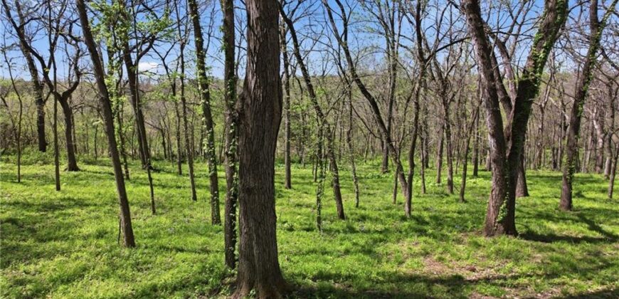 16370 NW 130th Terrace, Platte City, MO 64079