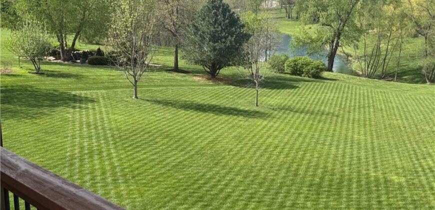 12602 NE 117th Street, Kearney, MO 64060