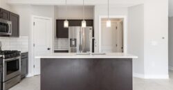 16211 Moon Shot Street, Parkville, MO 64152