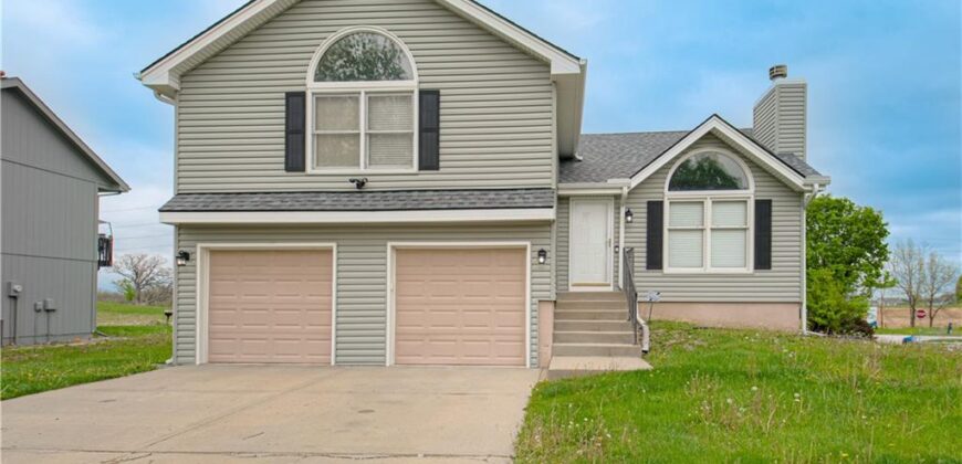 11201 N Lewis Avenue, Kansas City, MO 64157