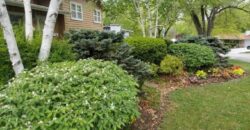 2101 NE 62nd Street, Kansas City, MO 64118
