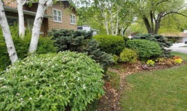 2101 NE 62nd Street, Kansas City, MO 64118