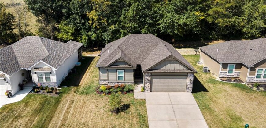 208 S MARIMACK Court, Kearney, MO 64060