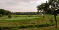 10875 Allen Way, Parkville, MO 64152