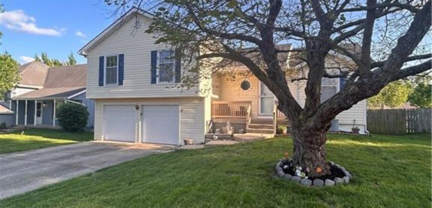 17 NW 102nd Terrace, Kansas City, MO 64155