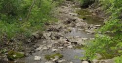 10000 NE 112th Street, Kansas City, MO 64157