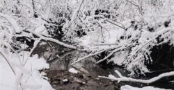 10000 NE 112th Street, Kansas City, MO 64157