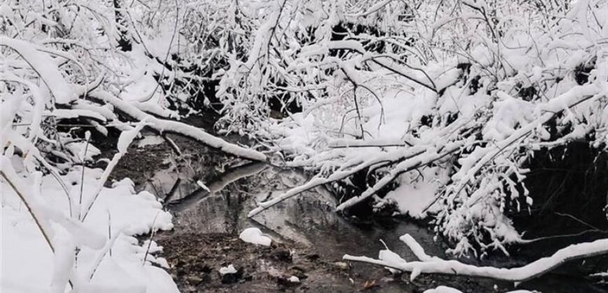 10000 NE 112th Street, Kansas City, MO 64157