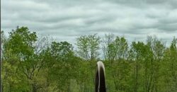 10000 NE 112th Street, Kansas City, MO 64157